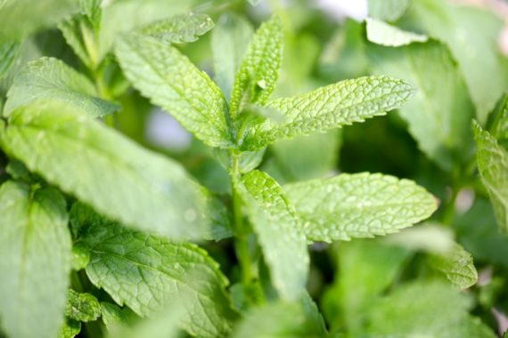 5 astuces naturelles contre la migraine